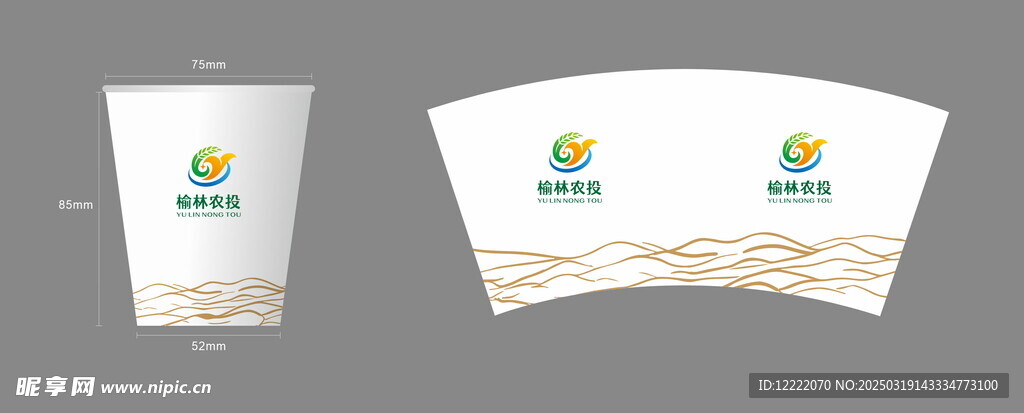 纸杯