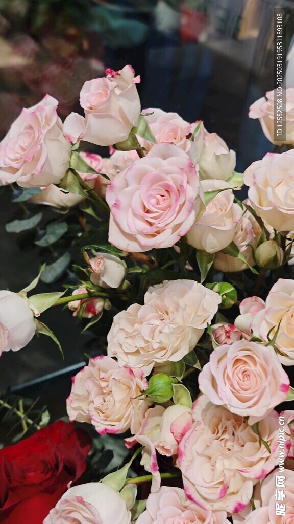 玫瑰花