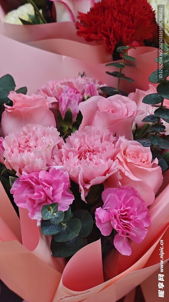 玫瑰花