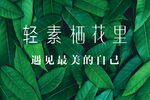 轻素栖花里