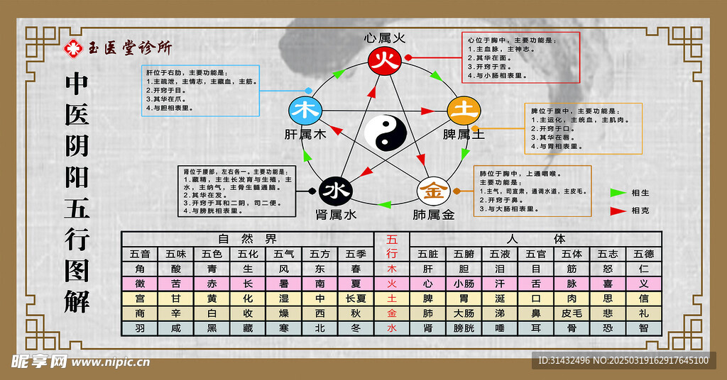 中医五行图