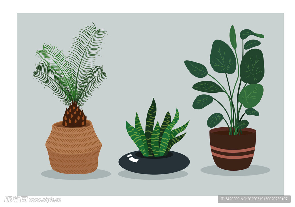 植物盆栽