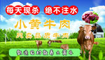 现杀牛肉