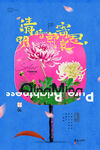 清明节气工笔风格菊花海报
