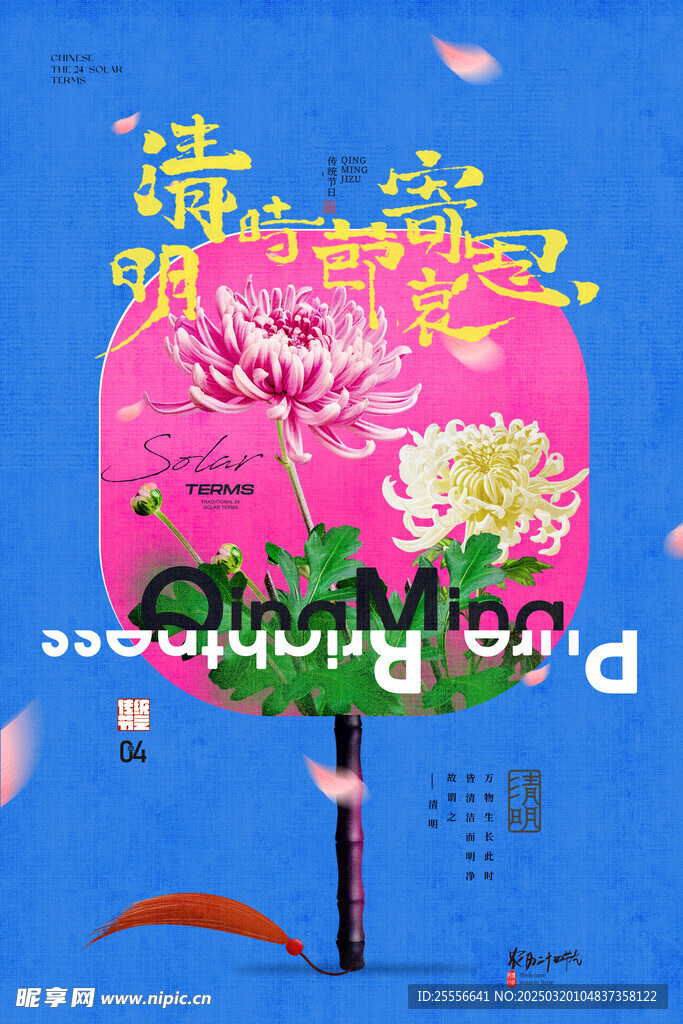 清明节气工笔风格菊花海报