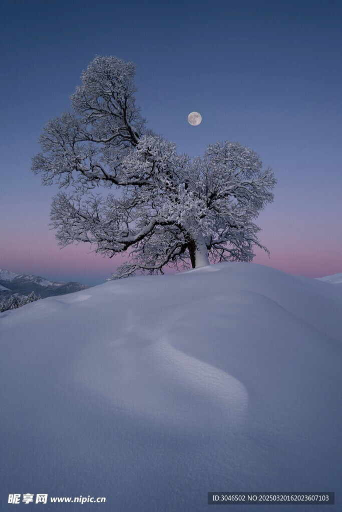 夜空下的雪景