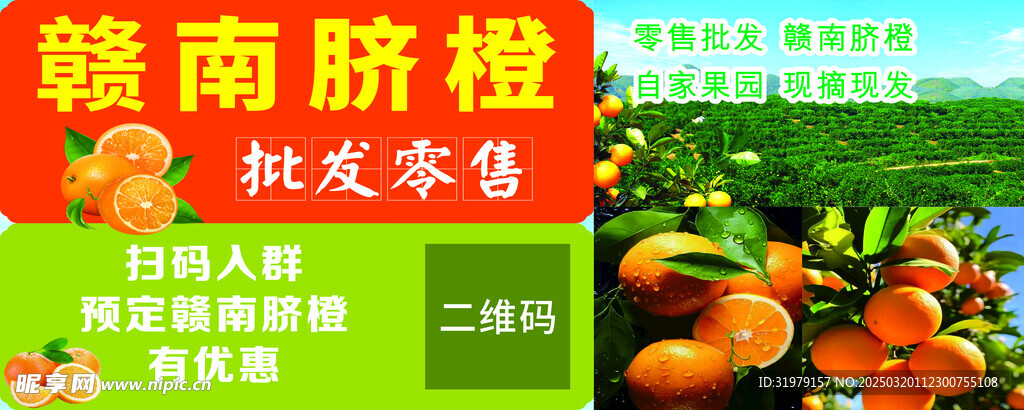 赣南脐橙海报