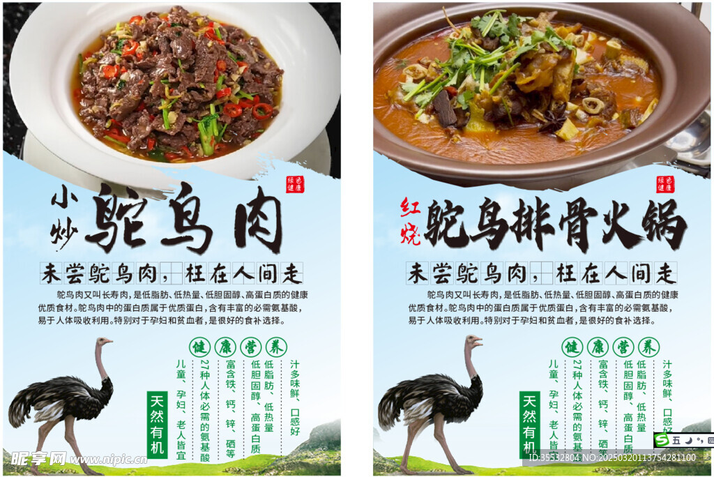 小炒鸵鸟肉 鸵鸟排骨火锅 