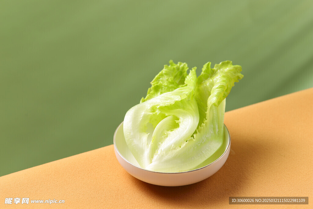 生菜