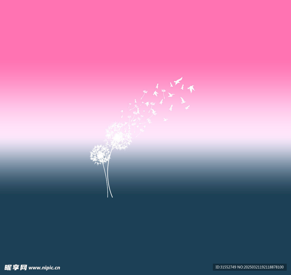 蒲公英
