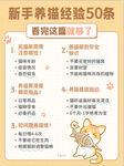 新手养猫宠物经验
