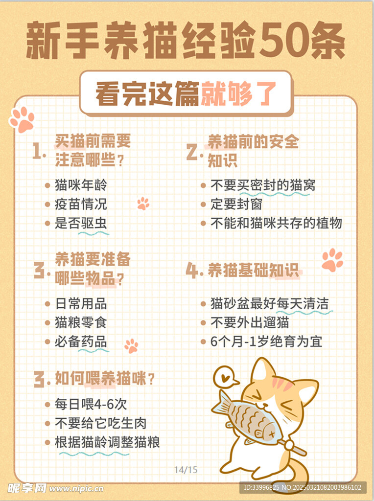 新手养猫宠物经验