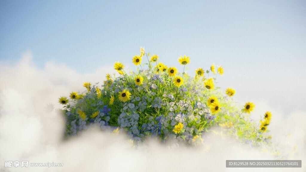 向阳花