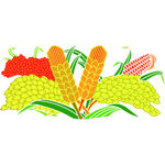 五谷麦穗