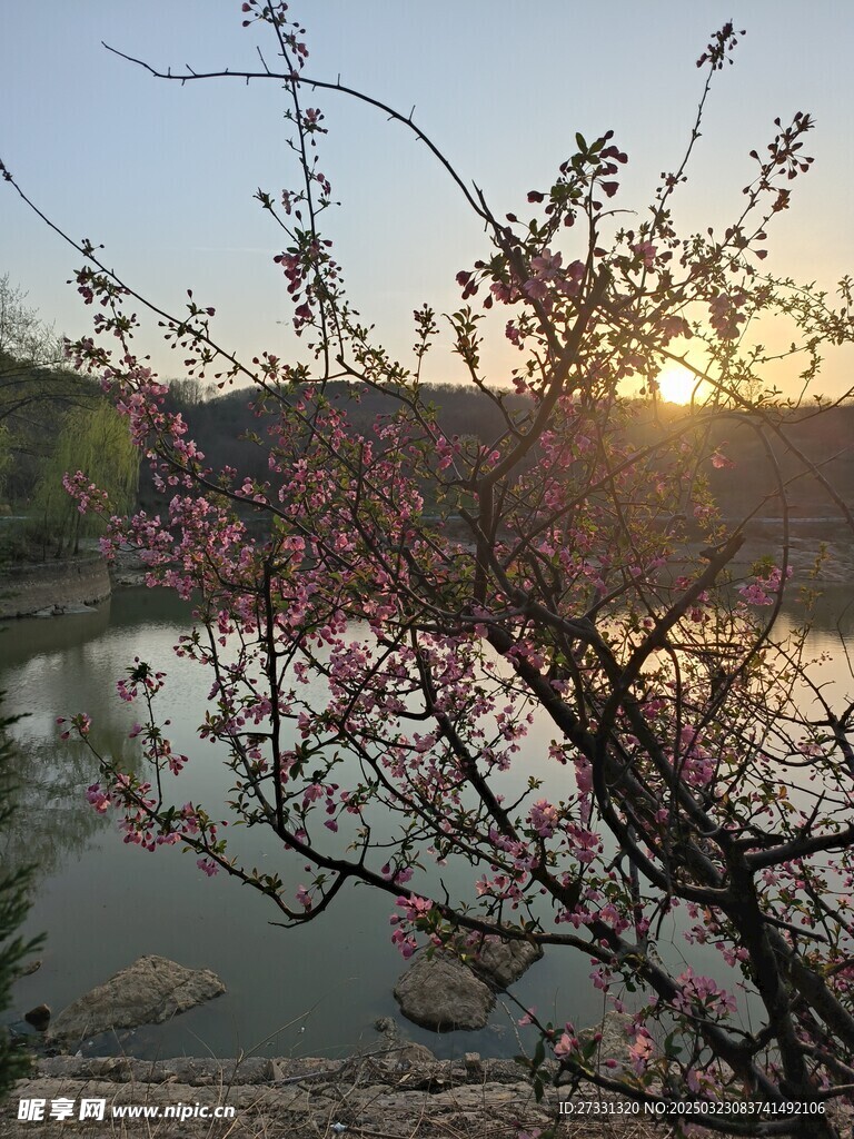 乐涧套