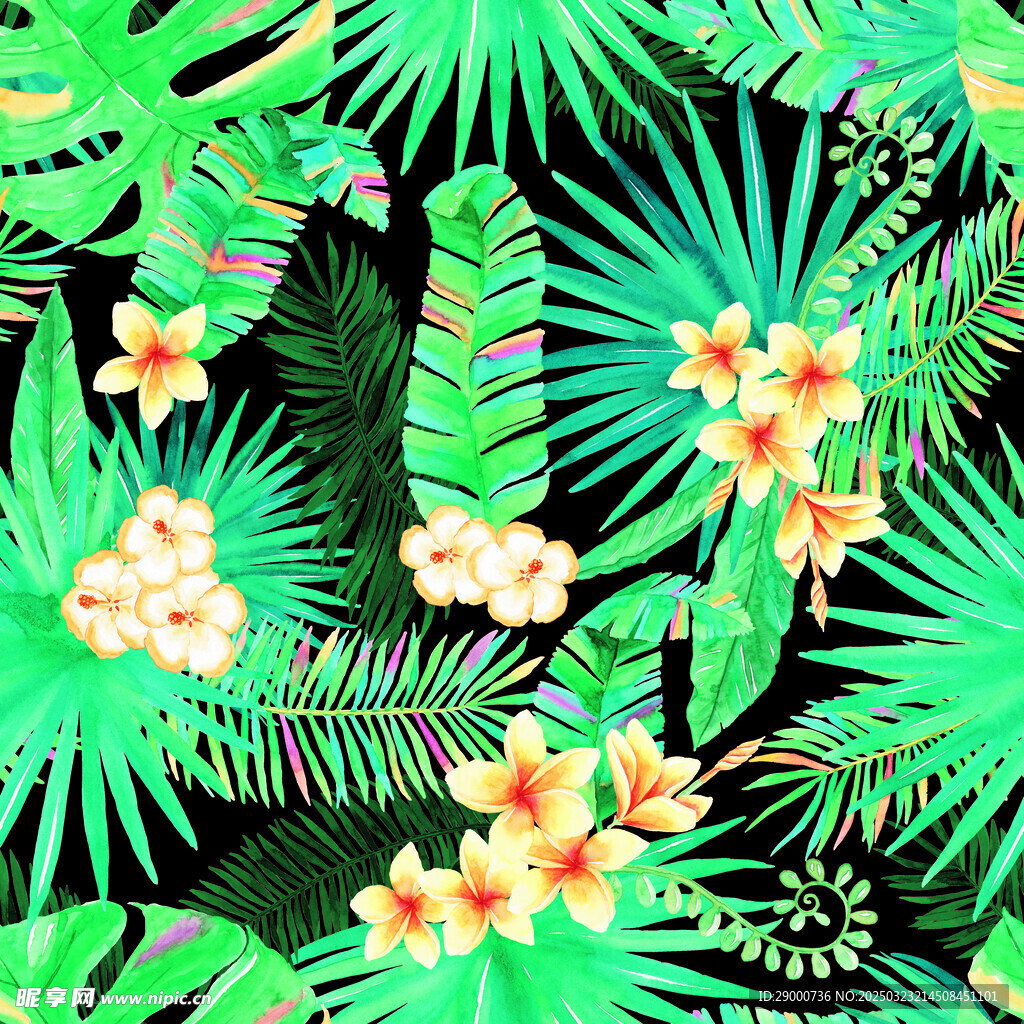 热带花