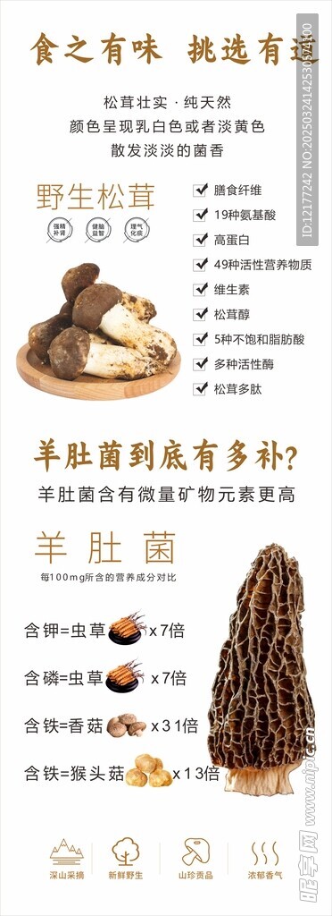 野生松茸 羊肚菌 营养价值