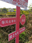 路牌