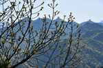          金山岭长城 
