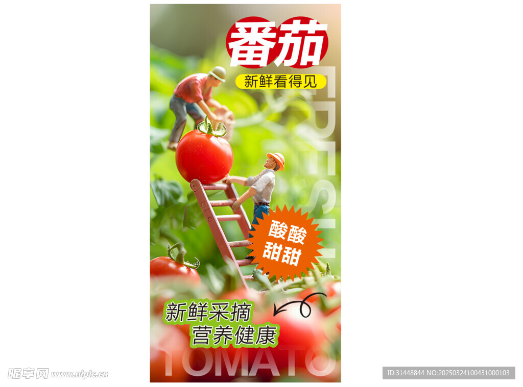 番茄