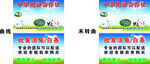 中华兔业合作社