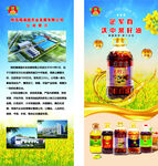 土榨菜籽油易拉宝 