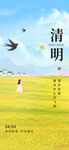 清明节踏青油菜花海报