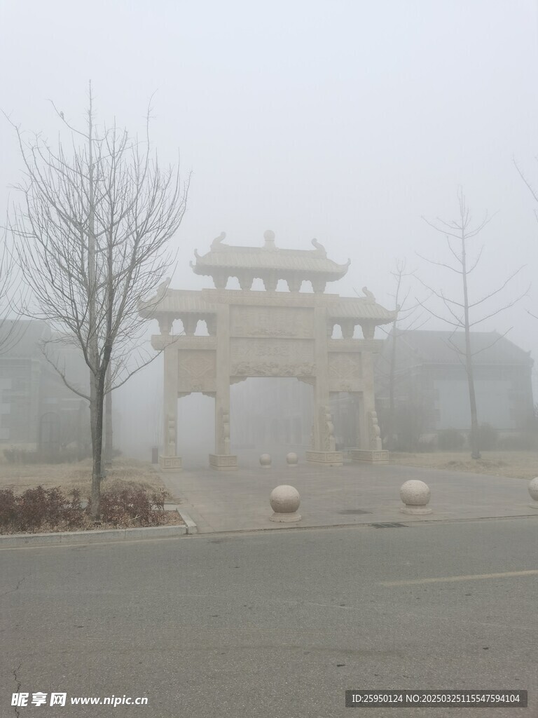 雾里小树