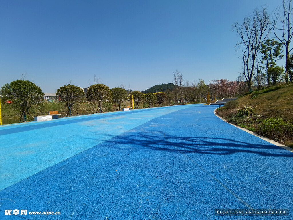橡胶步道特写