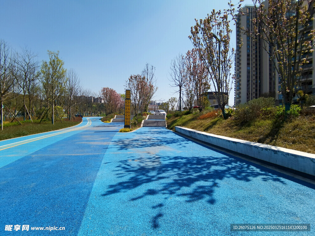 城市道路