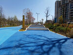 阶梯步道