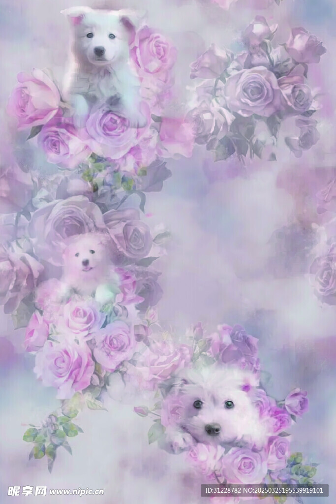 狗