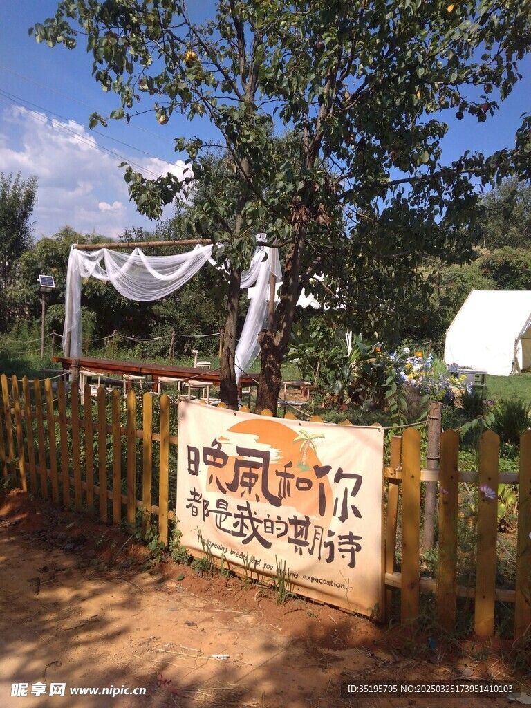 露营