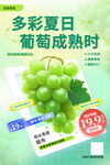 阳光青提 