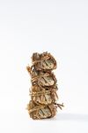 大闸蟹螃蟹
