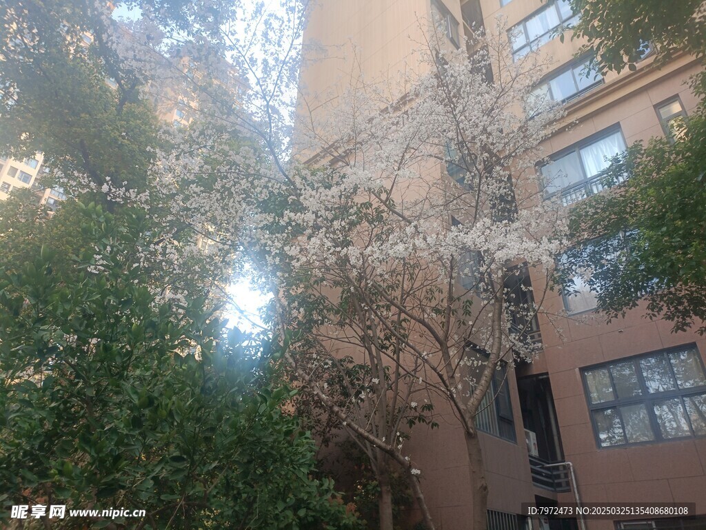 园林小区