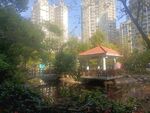 小区园林