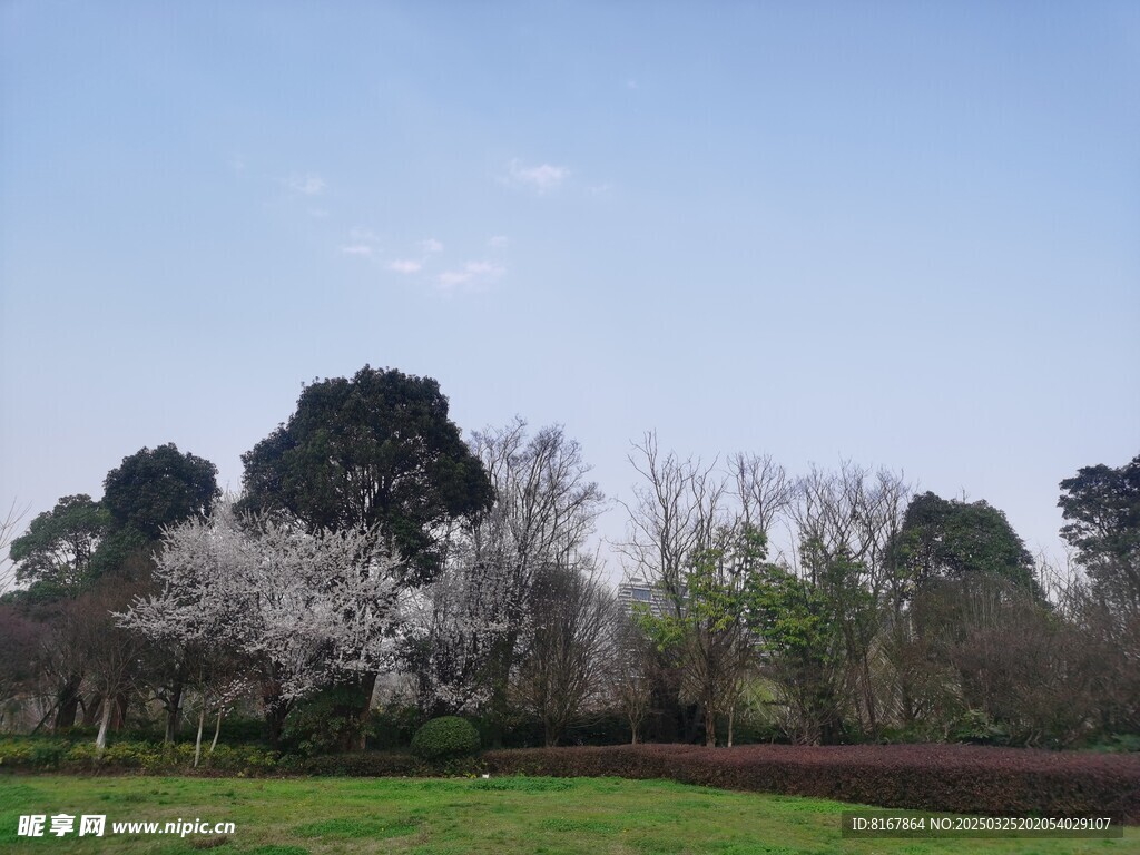 公园景观