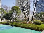 小区桃花