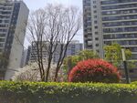 建筑景观