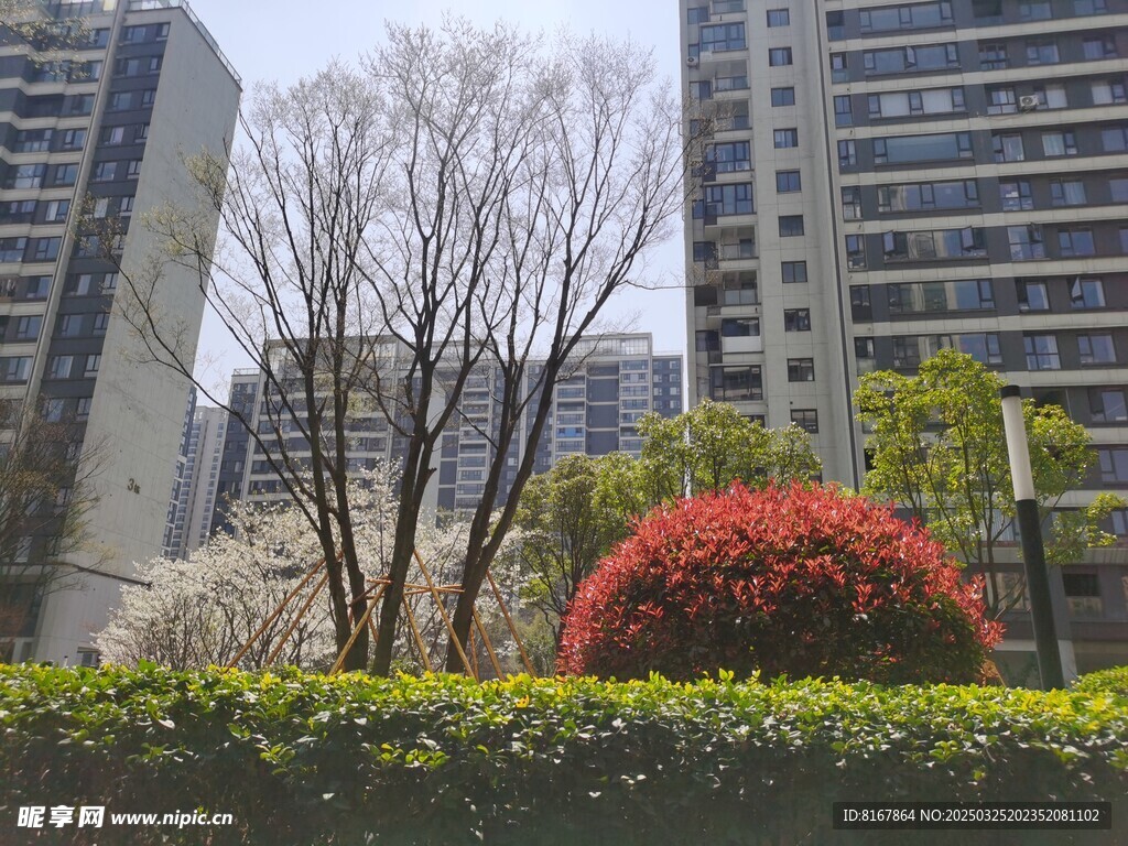 建筑景观
