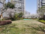 小区樱花