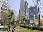 地产园林