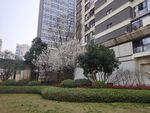高档小区