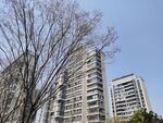 建筑外观