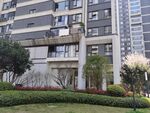 小区园林