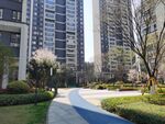 小区环境