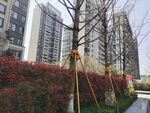 建筑