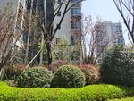 园林景观