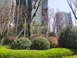 园林景观